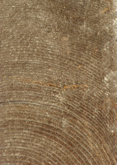 old wood texture