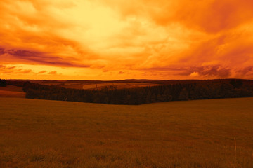 Landscape in the sunset