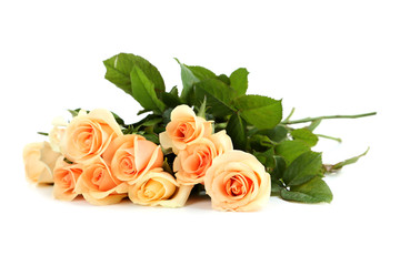 Bouquet of orange roses isolated on white