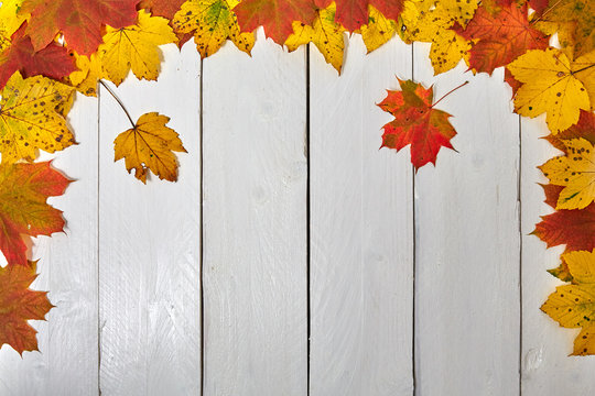 Autumn leaves on a board