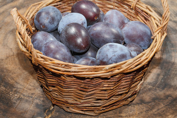 Frisch geerntete Pflaumen