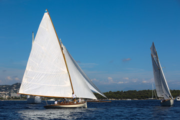 Fototapeta premium voiliers