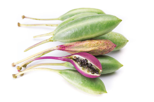 Fresh Capers