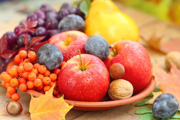 Autumn still life with assorted fruit, berries and nuts