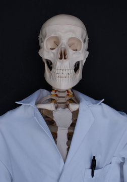 Skeleton in Lab Coat 