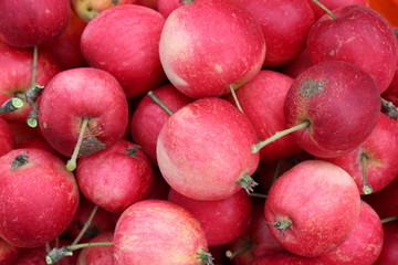 Красные яблоки