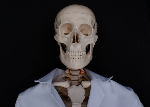 Skeleton in a Lab Coat 