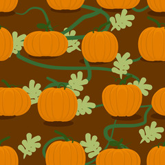 Pumpkin farm seamless patter. Plantation of pumpkins background.
