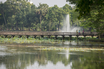 Obraz premium ASIA MYANMAR YANGON KANDAWGYI LAKE PARK