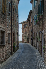 Summer in Tuscany