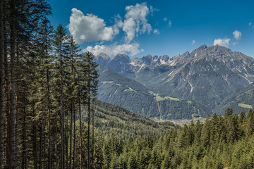 Forest in the Stubaital - Austria