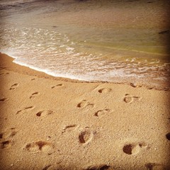 irish coast - the beach 
