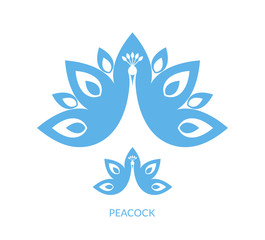 Obraz premium Peacock 