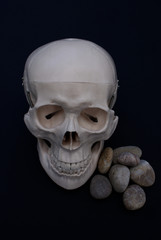 Skull and Stones  © jodieadams