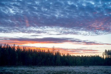 Finnish landscape at dawn