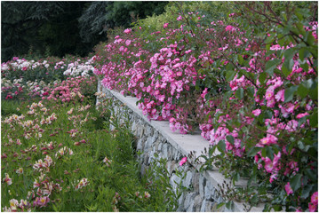 Ботанический сад, Крым