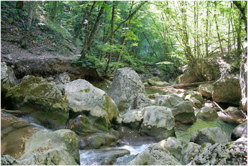 Крым, горная река в лесу