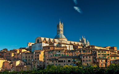 Nice houses in the old town of Siena