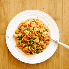 Traditional Italian pasta orecchiette with tomato sauce and vegetables 