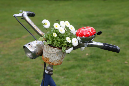 Fahrradlenker mit Blumen