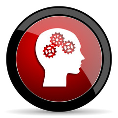 head red circle glossy web icon on white background - set440
