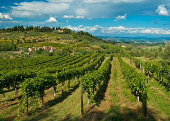 Fototapeta na wymiar Panoramic view on San Gimignano with vineyards, one of the nicest villages of Italy
