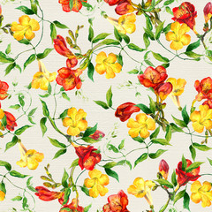 Fototapeta na wymiar Yellow and red flowers pattern watercolor. Freesia, bindweed
