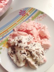 selbstgemachtes Melonen Eis