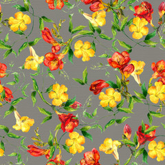 Yellow and red flowers pattern watercolor. Freesia, bindweed
