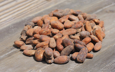 Cacao beans