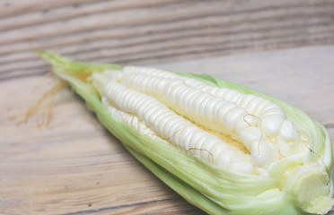 Corn