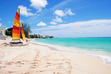 Barbados Beach - obrazy, fototapety, plakaty