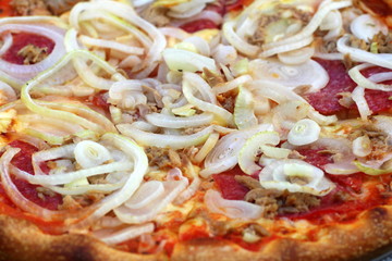 Pizza mit Zwiebeln und Thunfisch 