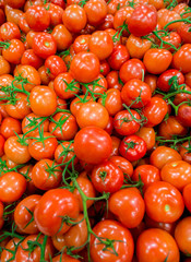 Tomatoes on the supermarket display