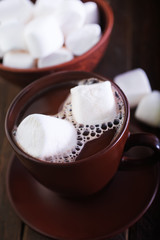 Fototapeta na wymiar cocoa drink