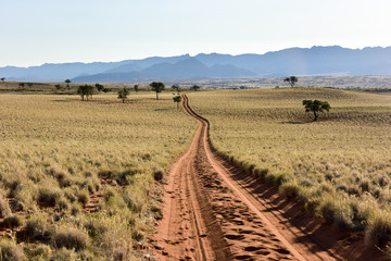 Desert Landscape - NamibRand, Namibia