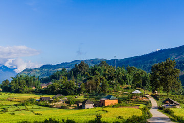 Rice fields on terraced of Lao Cai, YenBai, Vietnam.