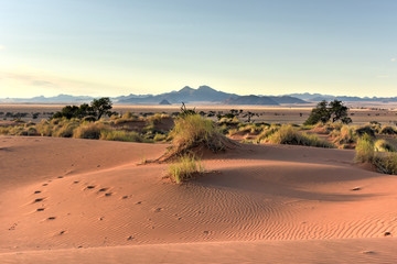 Desert Landscape - NamibRand, Namibia
