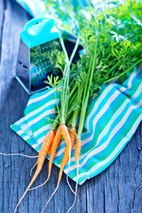 fresh carrot