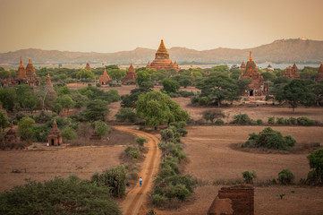 Pagoda landscape in the plain of Bagan, Myanmar