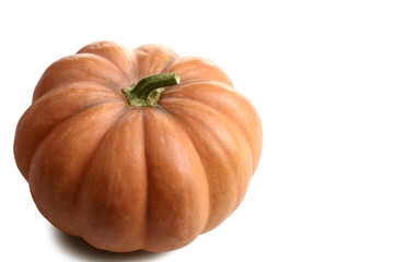 a big pumpkin on a white isolated background