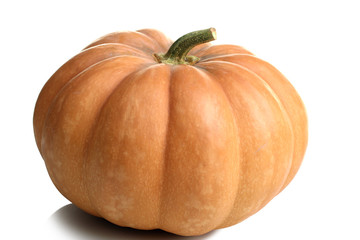 a big pumpkin on a white isolated background
