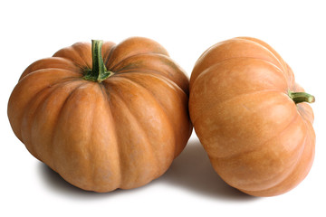 a big pumpkin on a white isolated background