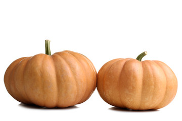 a big pumpkin on a white isolated background