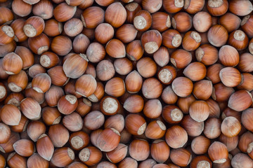 Hazelnuts background