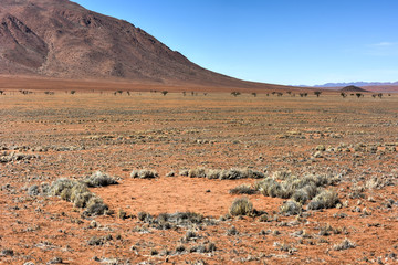 Fairy Circles - Namibia