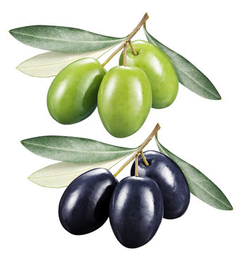 Green and black olives with leaves on a white background.