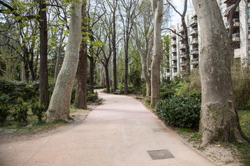 Park in Trieste
