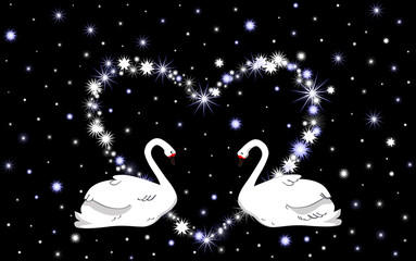 Wedding vector background with white swans and heart