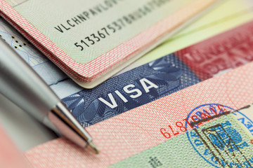 Different visas and stamps in a passport - travel background